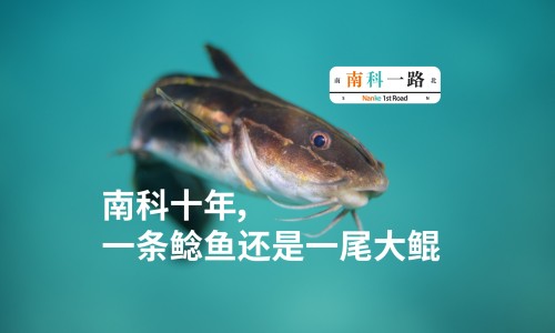 防风 白芷 区别-防风白芷的功效与作用网 | 防风白芷的功效与作用是什么,防风白芷哪些人不能吃